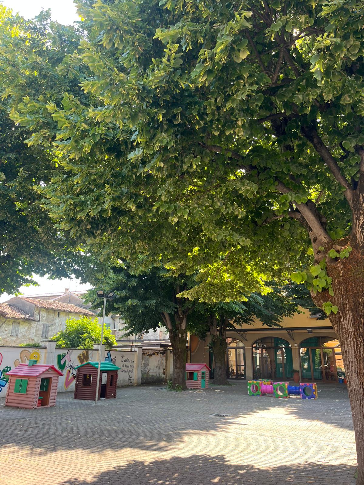 Giardino scolastico con grandi alberi